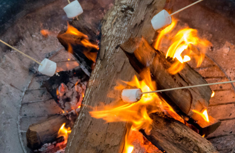 Roasting marshmallows at Canyon of the Eagles.
