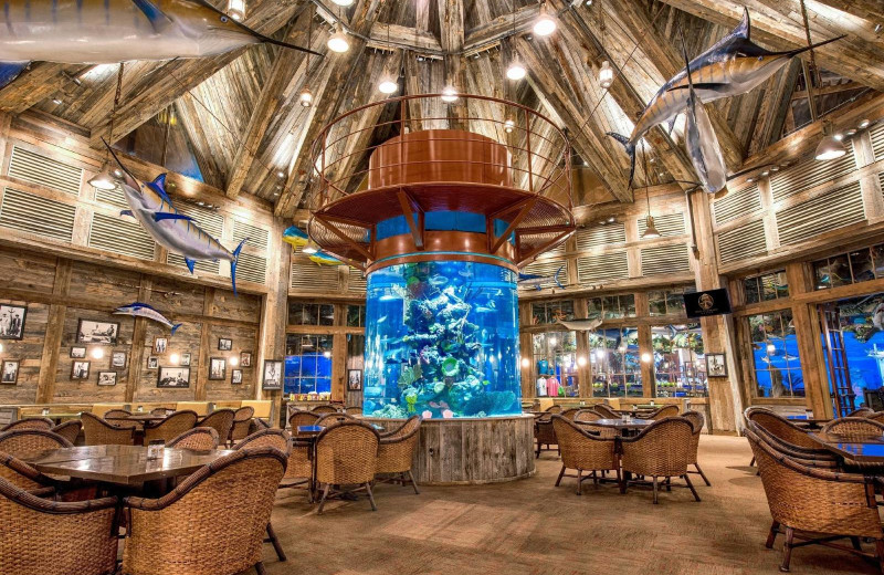 Dining at Big Cypress Lodge.