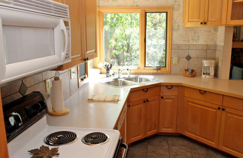 Cabin kitchen at Sunnyside Knoll Resort.