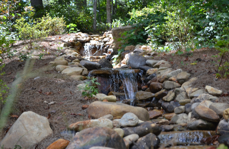 Scenic view at Sautee Mountain Retreat.