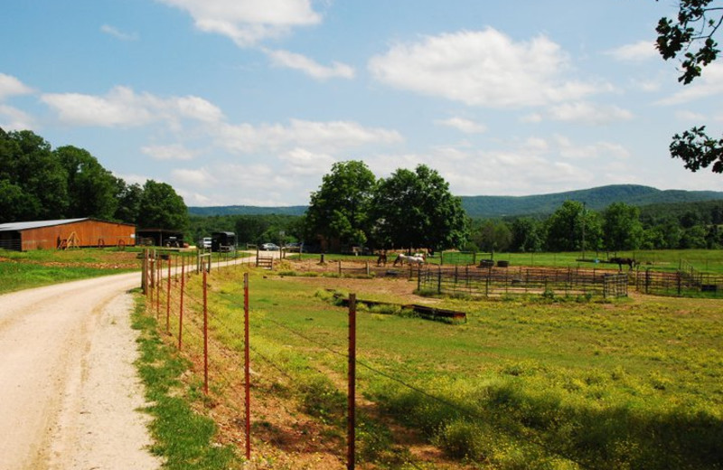 Horse ranch at Rockin Z Ranch.