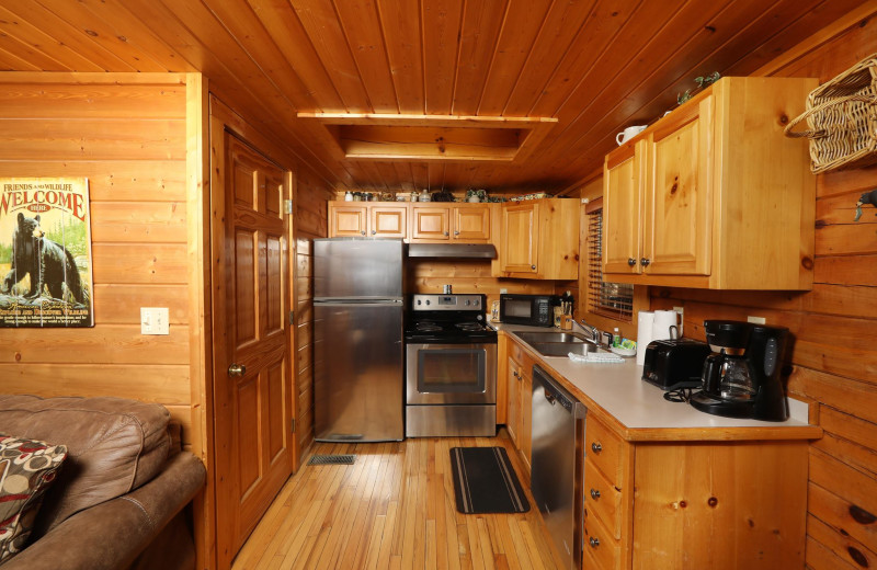 Cabin kitchen at Little Valley Mountain Resort.