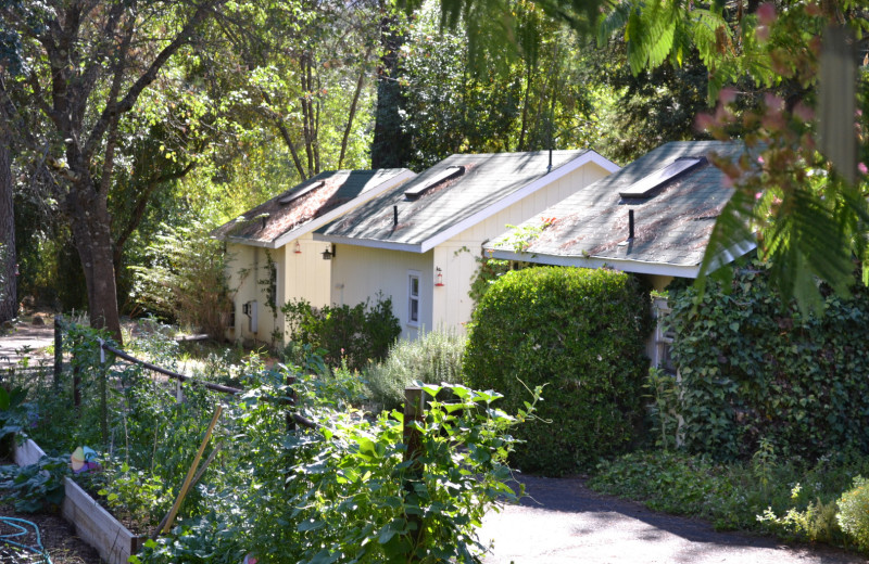 Exterior view of Backyard Garden Oasis B