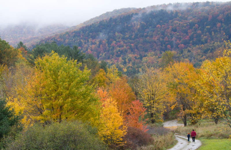 Hiking at Common Grounds Center.