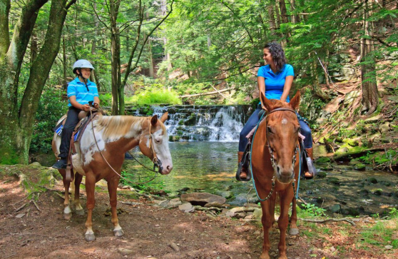 Horseback riding near The Inn at Pocono Manor.