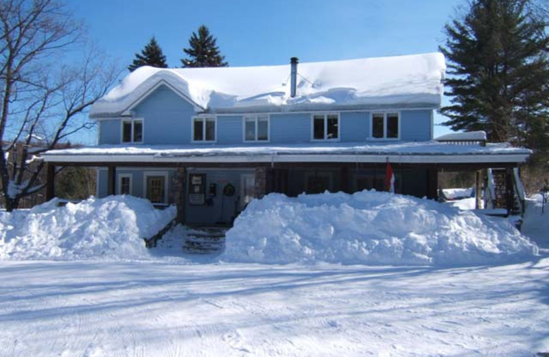 Norsemen Restaurant at Walker Lake Resort