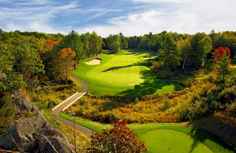 Golfing at Muskoka Bay Club