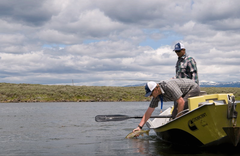Catching at fish at Teton Valley Lodge.