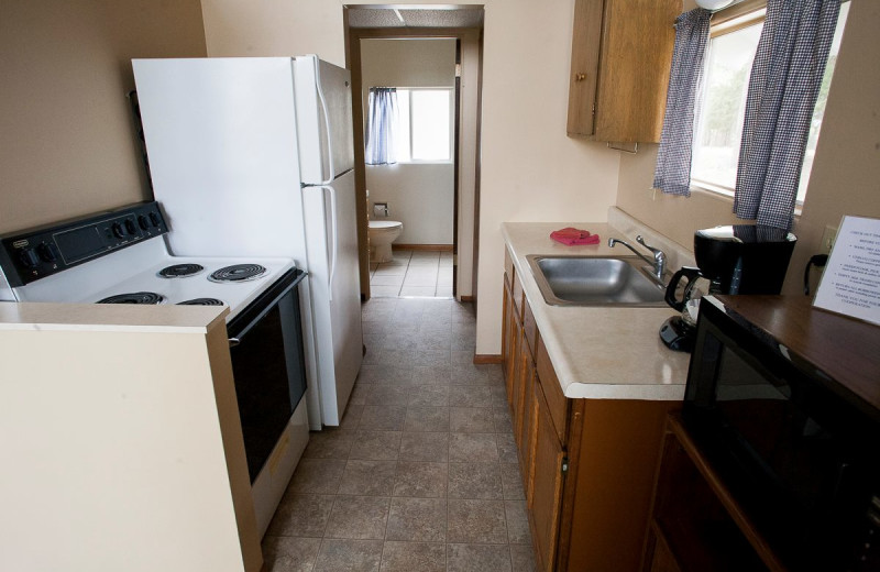 Cabin kitchen at Indian Trails Resort.