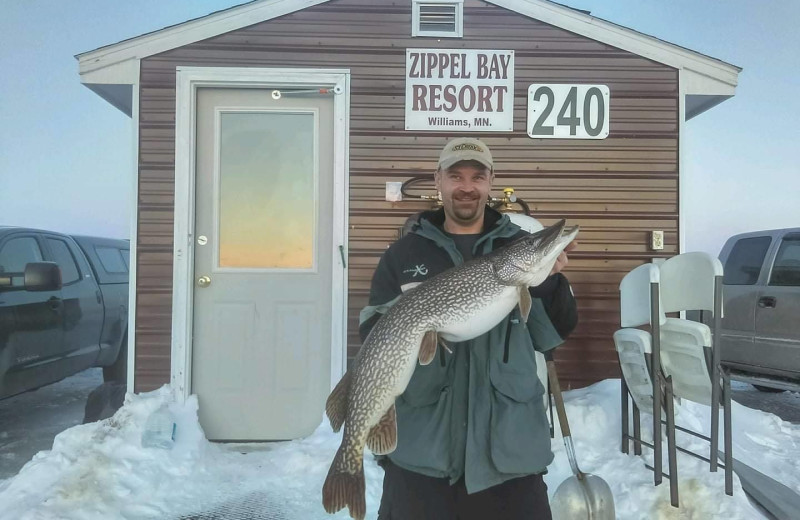 Ice fishing at Zippel Bay Resort.