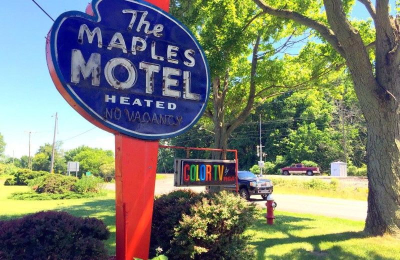 Exterior view of Maples Motel Sandusky.