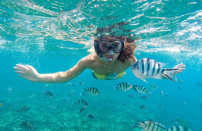 Snorkeling at NYAH Key West.