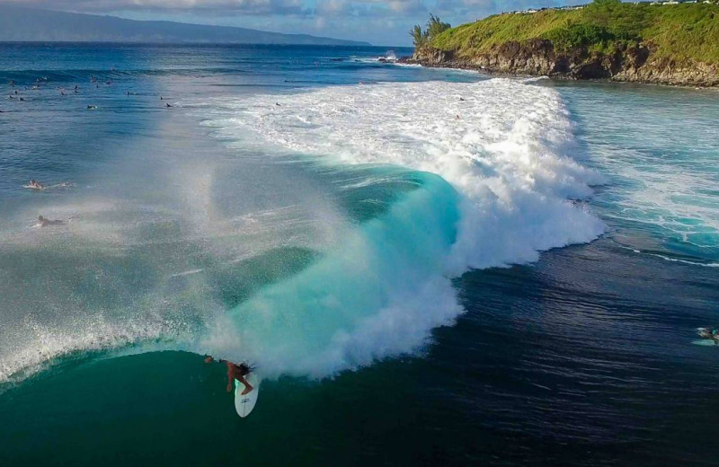 Surfing at Chase 'n Rainbows Real Estate.