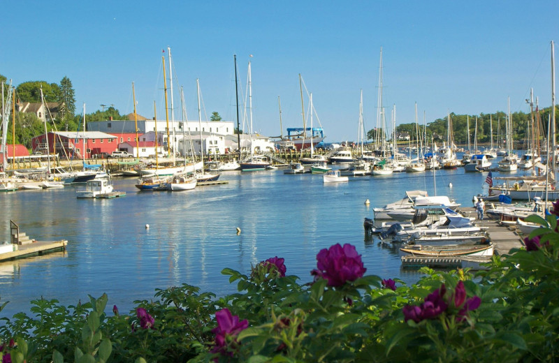 Marina near Cedar Crest Inn.