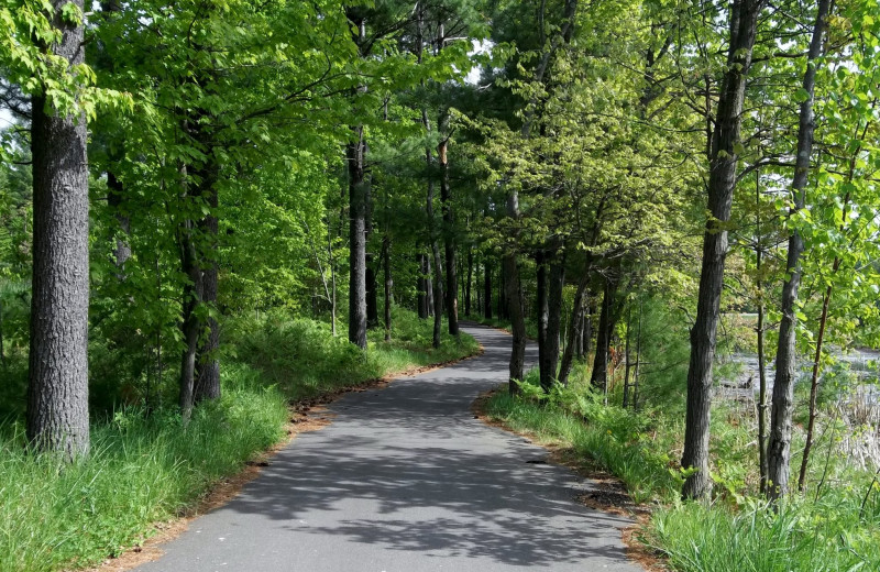 Path through the forest at Warrens Lodging.