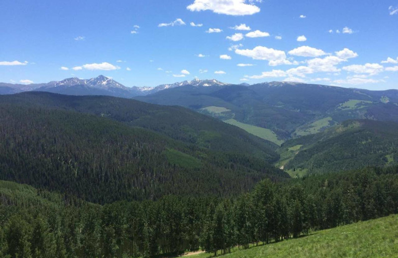 Mountains at Sun Vail Condominiums.