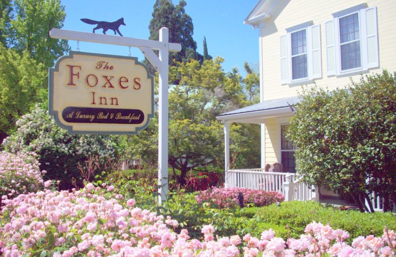 Exterior view of Foxes Bed and Breakfast.