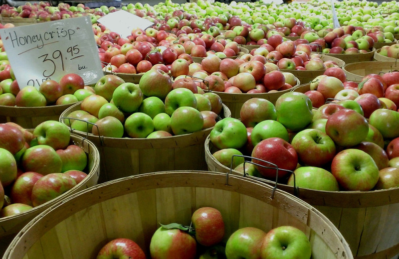 Apples near Berlin Grande Hotel.