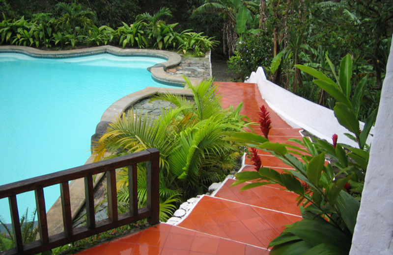 Outdoor pool at Hacienda Primavera Wilderness Ecolodge.