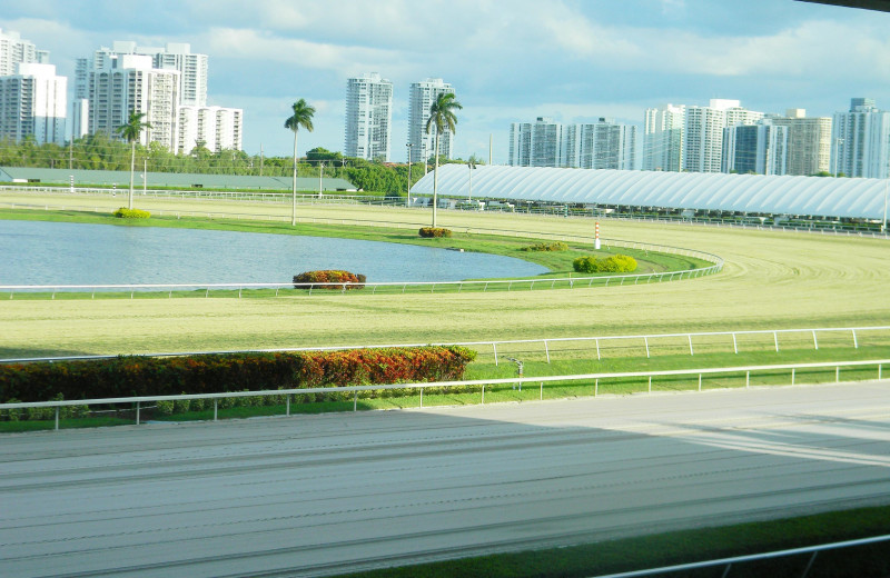 View from Knights Inn Hallandale Beach.