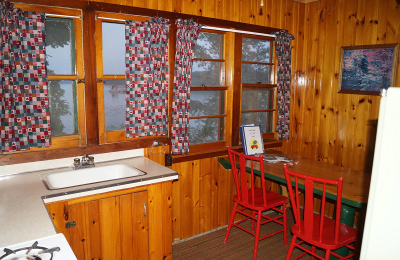 Cabin kitchen at Anderson's Starlight Bay Resort.