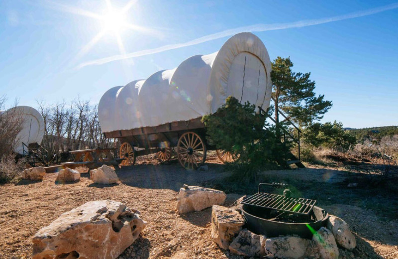 Wagon at Zion Ponderosa Ranch Resort.