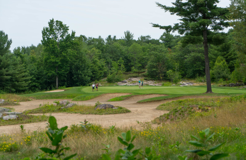 Golf at Taboo Muskoka.