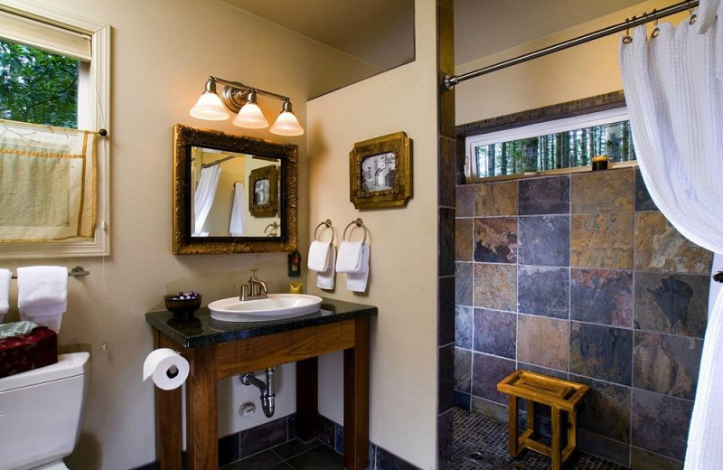 Cabin bedroom at WildSpring Guest Habitat.