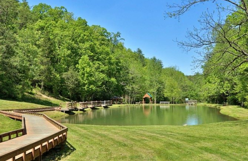 Fishing at Little Valley Mountain Resort.