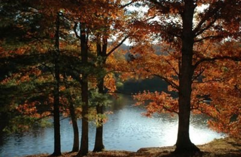 Lake View at JP Ridgeland Cabin Rentals