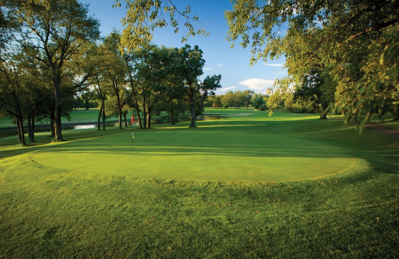 Golf greens at Coachman's Golf Resort.