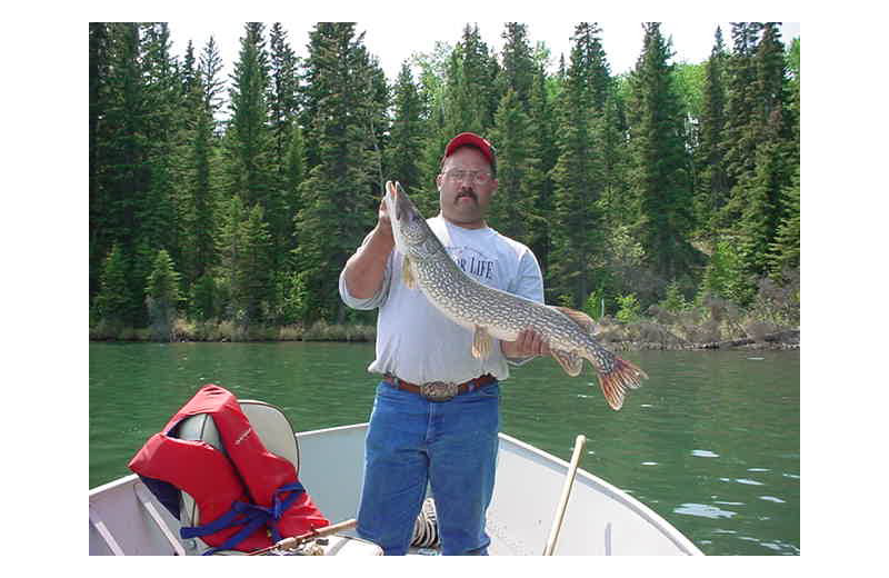 Fishing at Pine Point Lodge & Outposts.