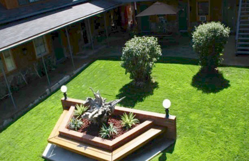 Courtyard at Cedar Wood Inn.