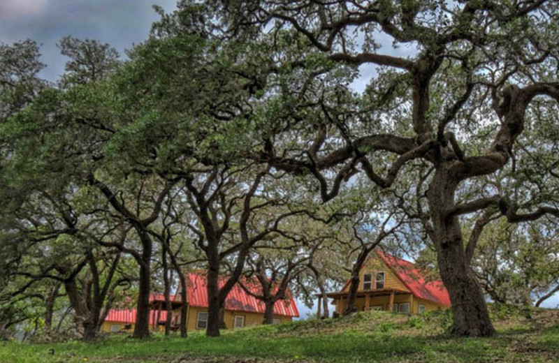 Cabin s at Criders Frio River Resort.