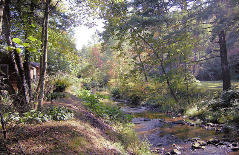 Area Surrounding Brookside Cabins