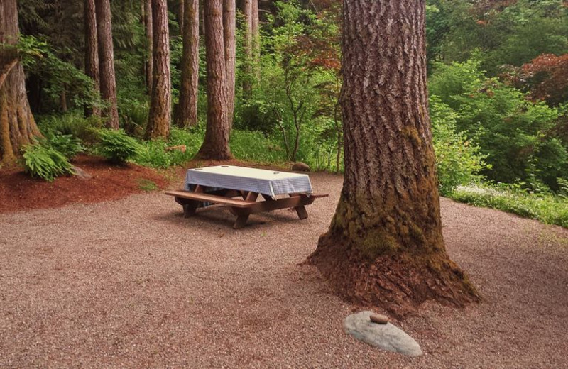 Picnic area at Zen River Retreat.