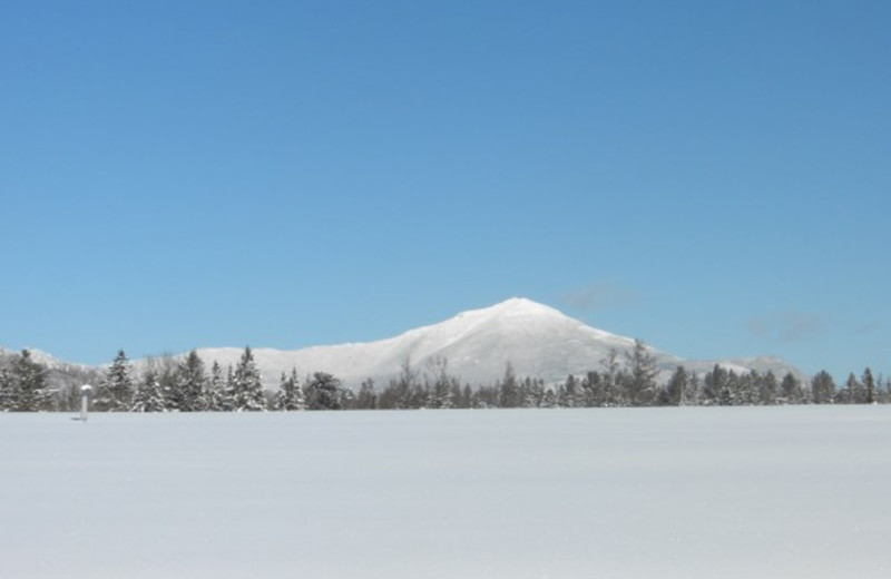 Winter at GO-Cottage.