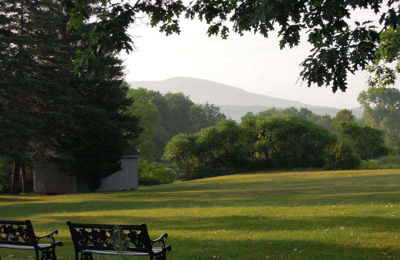 Mountain view at Albergo Allegria.