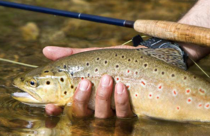 Fishing at O-Bar-O Cabins.