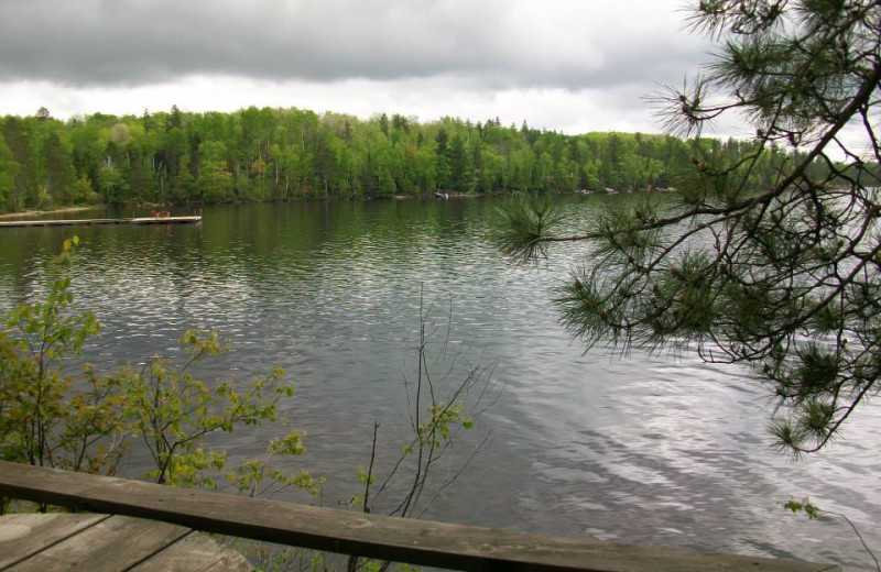 Lake view at Elbow Lake Lodge.