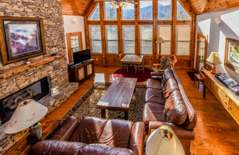 Rental living room at Dogwood Cabins LLC.