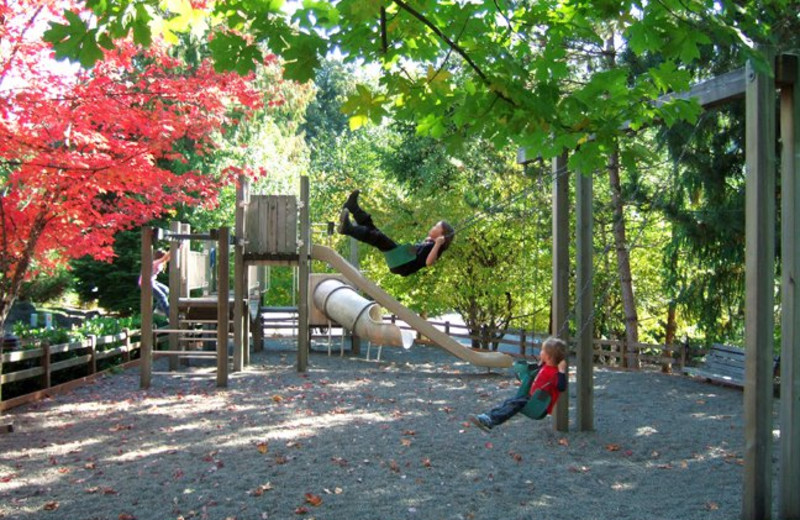 Playground at Whispering Woods Resort.