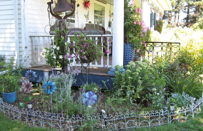 Garden at Country Haven B&B.