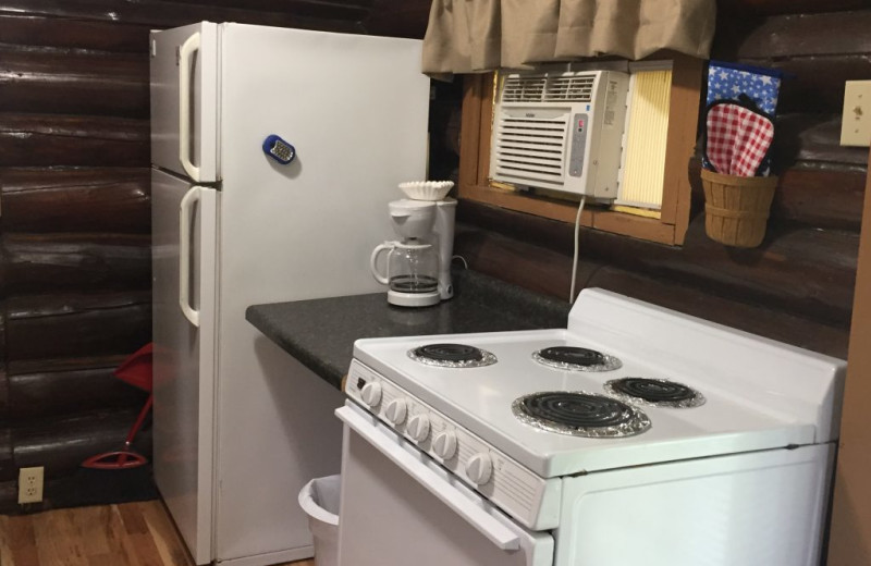 Cabin kitchen at Blackduck Lodge & Resort.