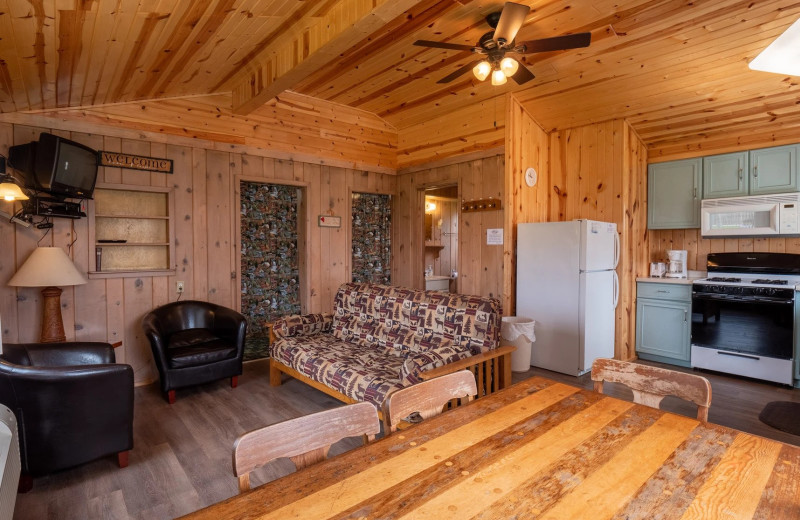 Cabin interior at Shady Grove Resort.