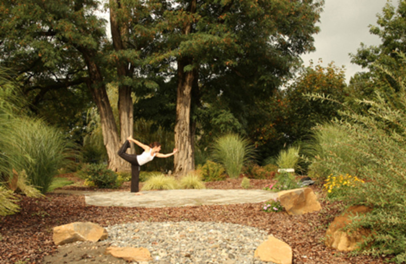 Outdoor Yoga at Carson Ridge Cabins
