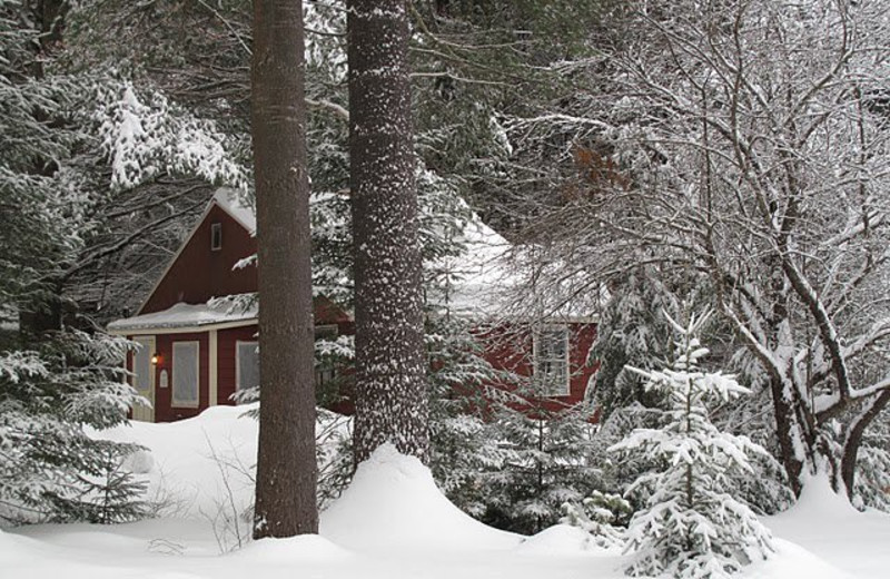 Cottage at Lapland Lake Nordic Vacation Center