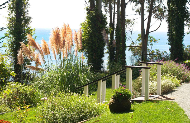 View from Monarch Cove Inn.