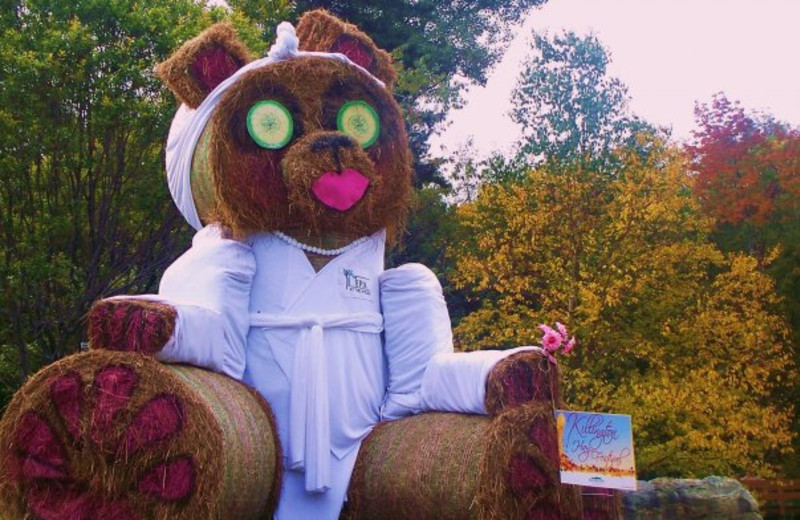 Spa bear sculpture at The Woods Resort & Spa.