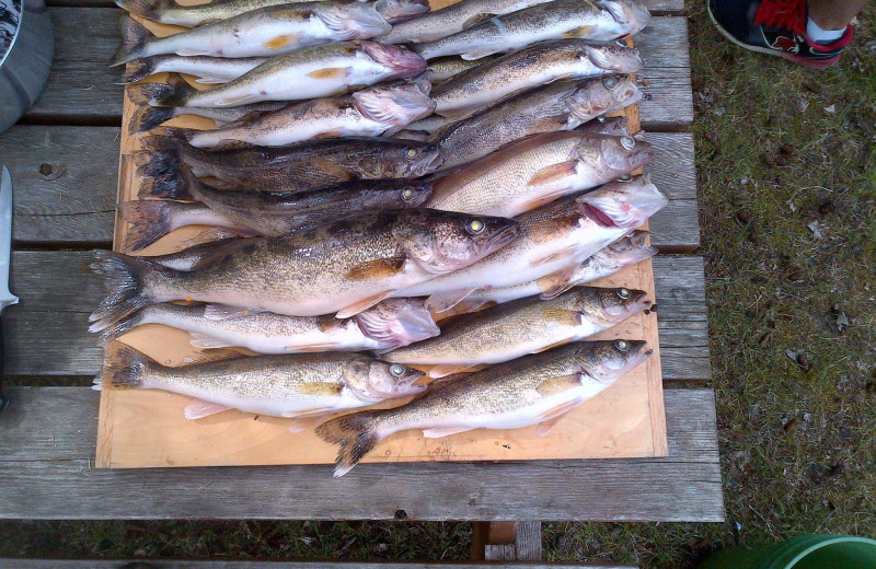 Fishing at Walleye Retreat.